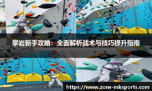 攀岩新手攻略：全面解析战术与技巧提升指南